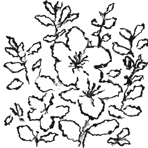 sample 11